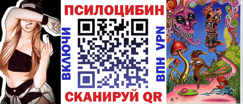 Купить закладки  Усть-Джегута  Галлюциногенные грибы мицелий 